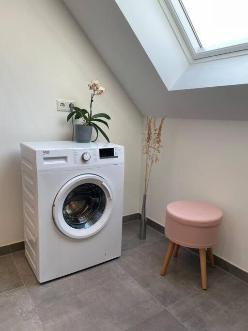 Studio - Apartment Steinmetz Mit Balkon Reken Zewnętrze zdjęcie